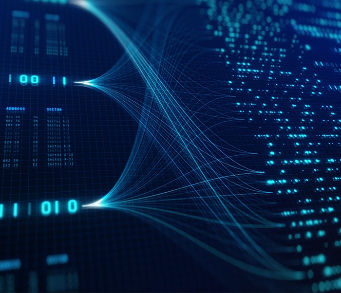 License Single Image