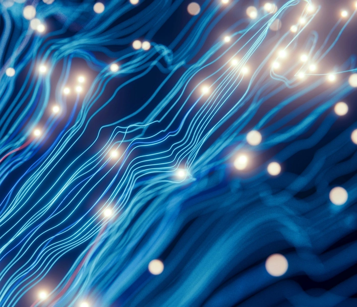 License Single Image