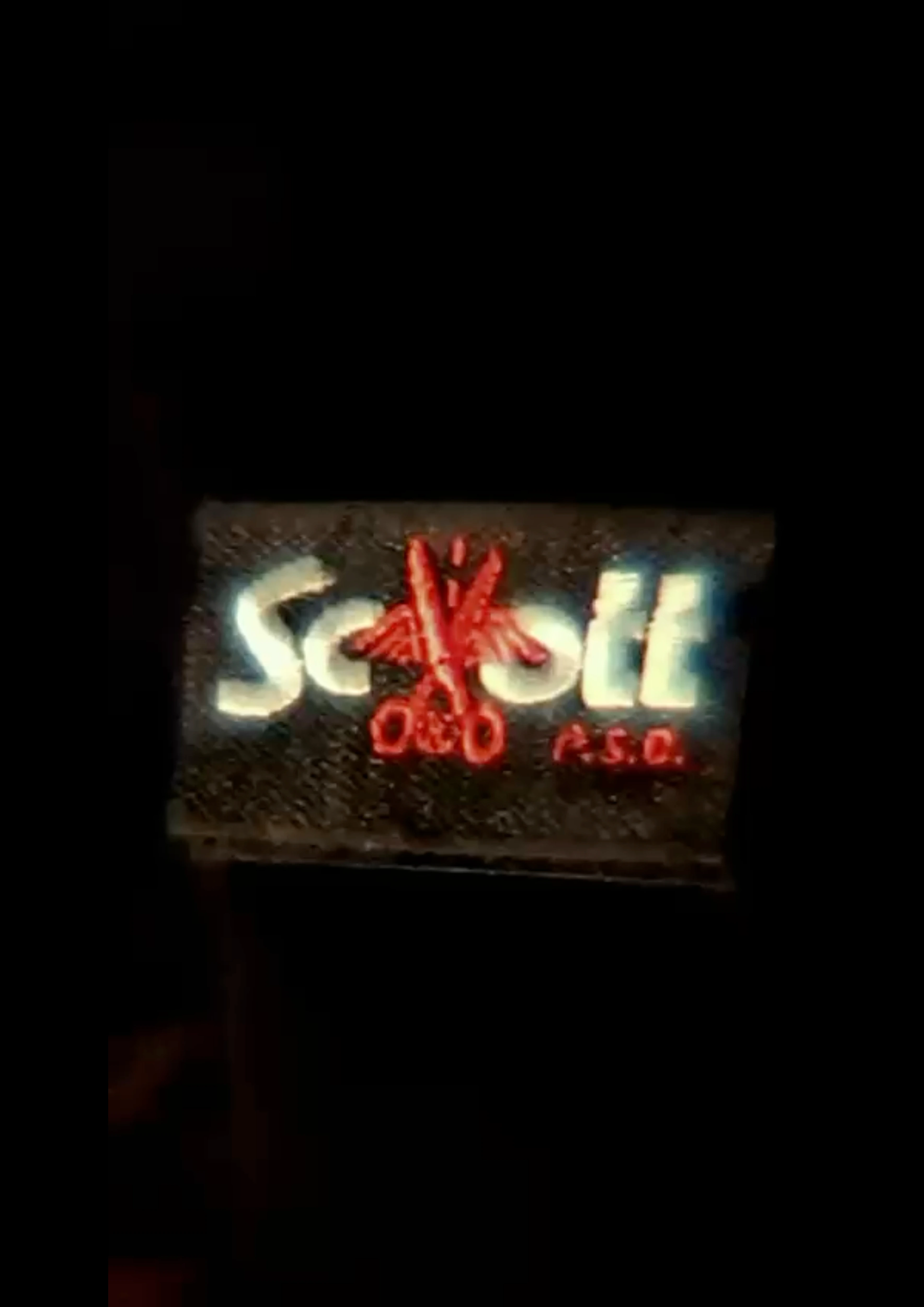 miniature photo of the schott project