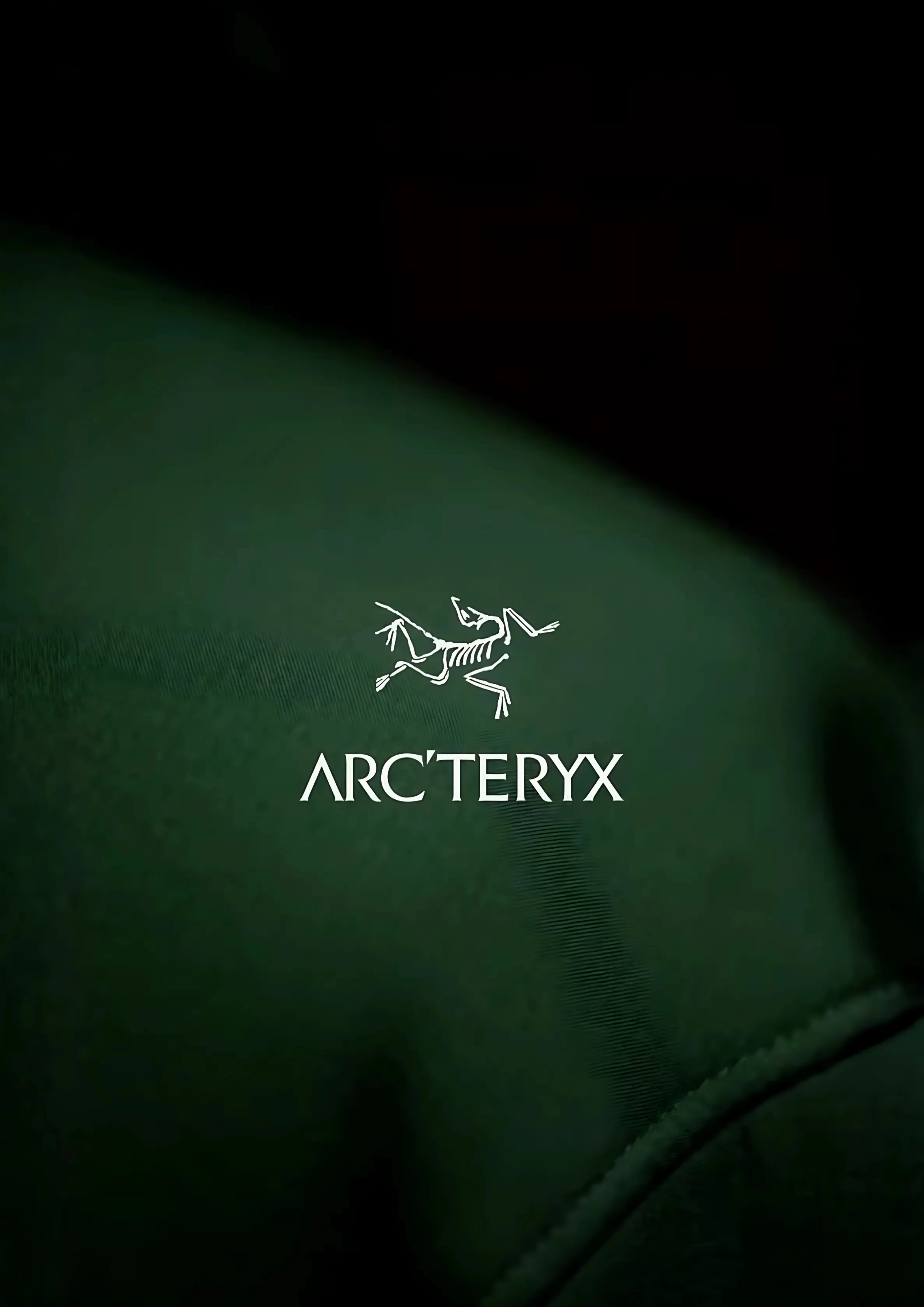 miniature photo of the arcteryx project