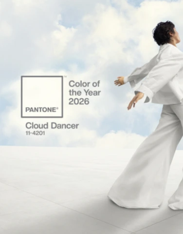 Image composée, avec comme titre “Pantone Cloud Dancer” et son visuel version palette à gauche. 