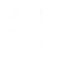 białe logo Fundacja Dajemy Dzieciom Siłę