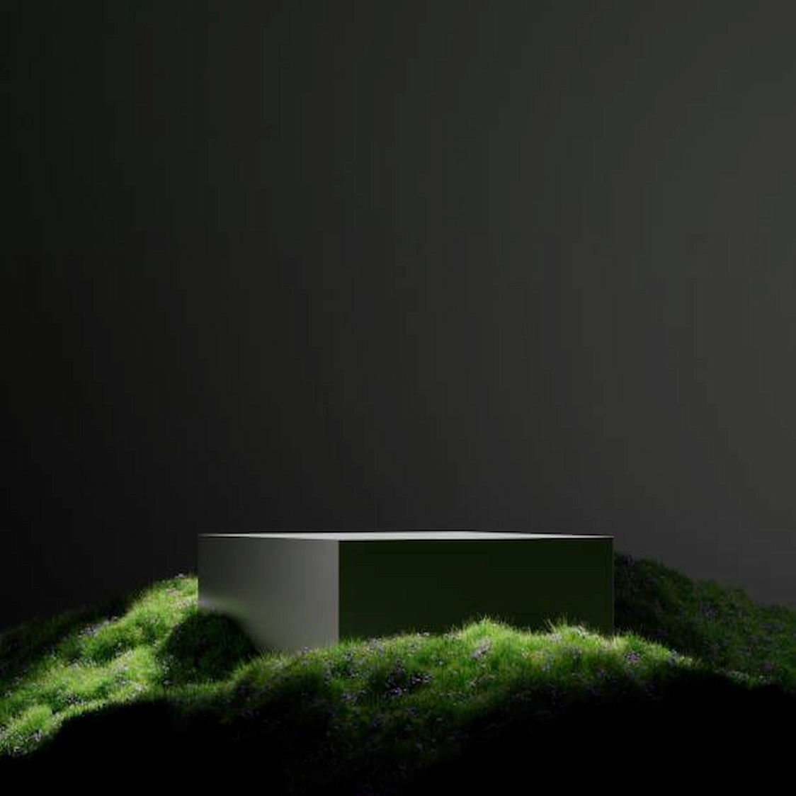 Project Details Small Image 1