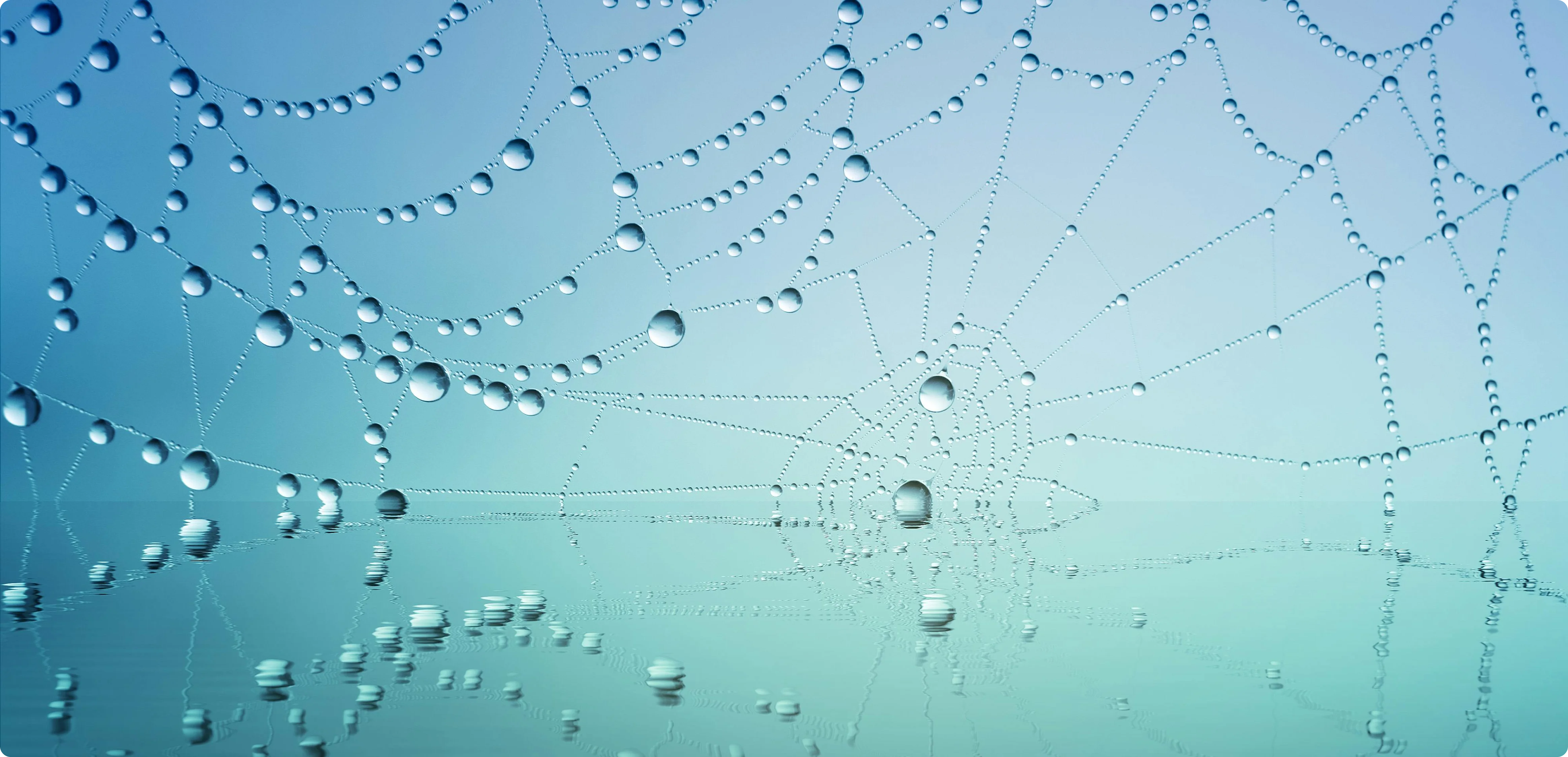 Project Details Bottom Image 