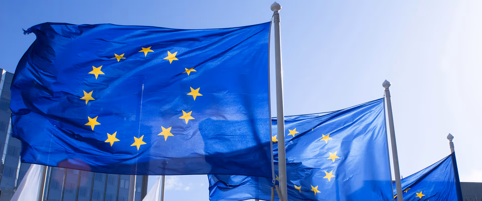 Flaggen der Europäischen Union vor Gebäuden