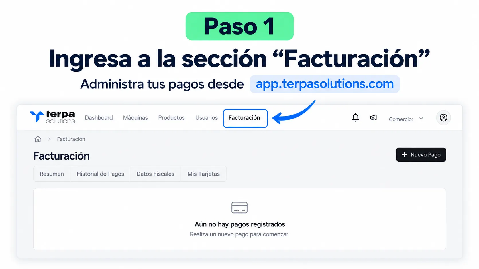 Sección Facturación en el menú de la plataforma TERPA