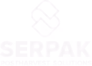 digital pazarlama danismanligi