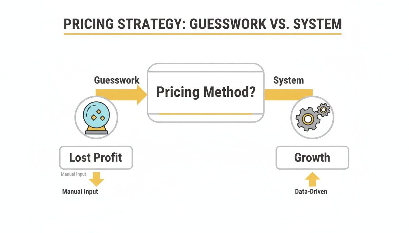 Diagram comparing pricing strategy: guesswork leading to lost profit, versus a system leading to growth.