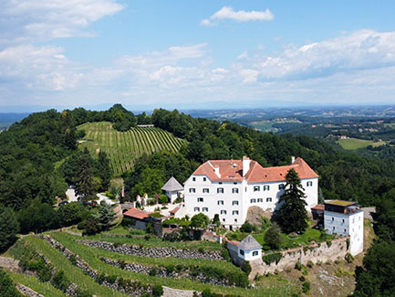 Aerial view of a white castle with red roofs surrounded by green vineyards and forested hills under a partly cloudy sky.