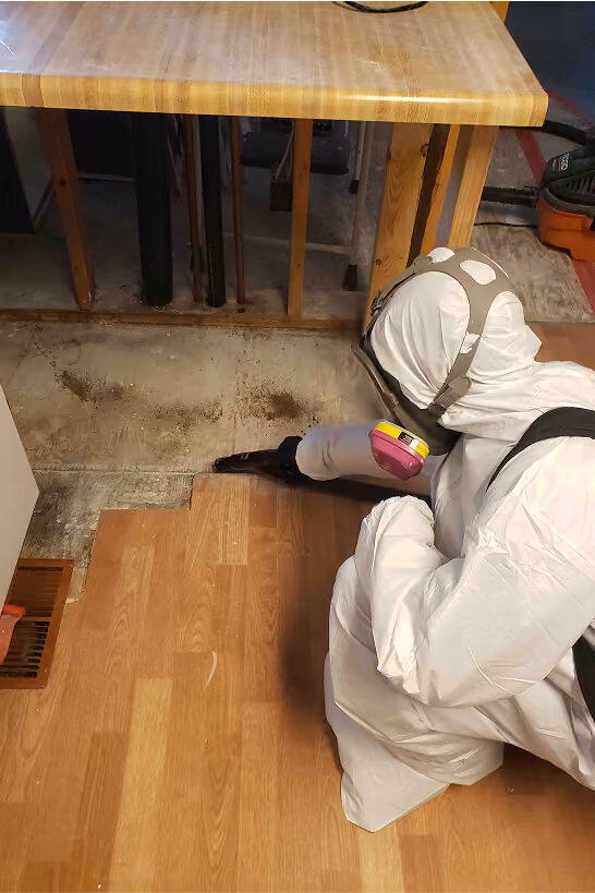 BoneDry technician restoring a property in a Colorado house