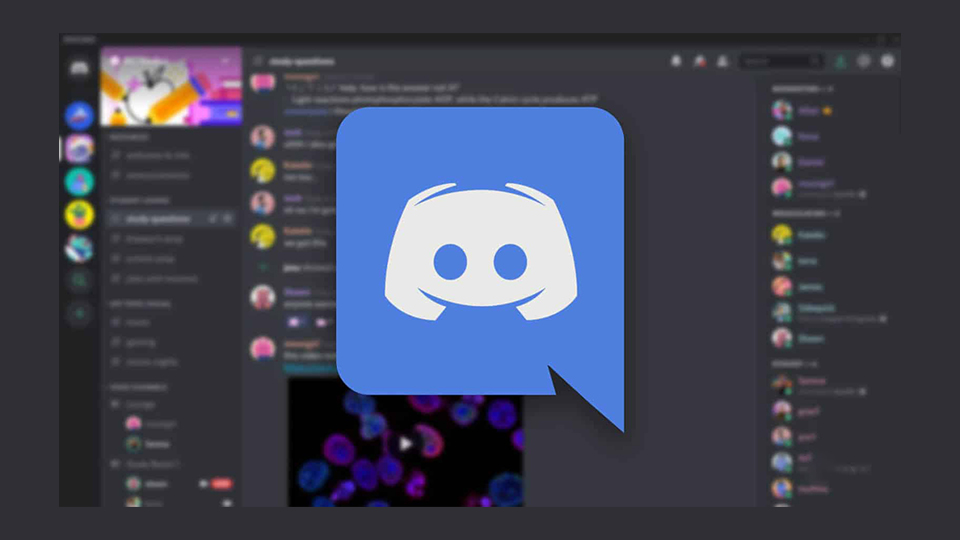 Discord Colorblind UX