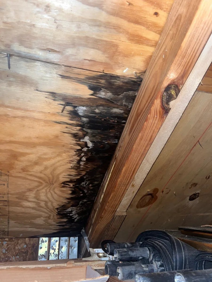 Attic inspection showing dark staining and affected plywood beside roof framing