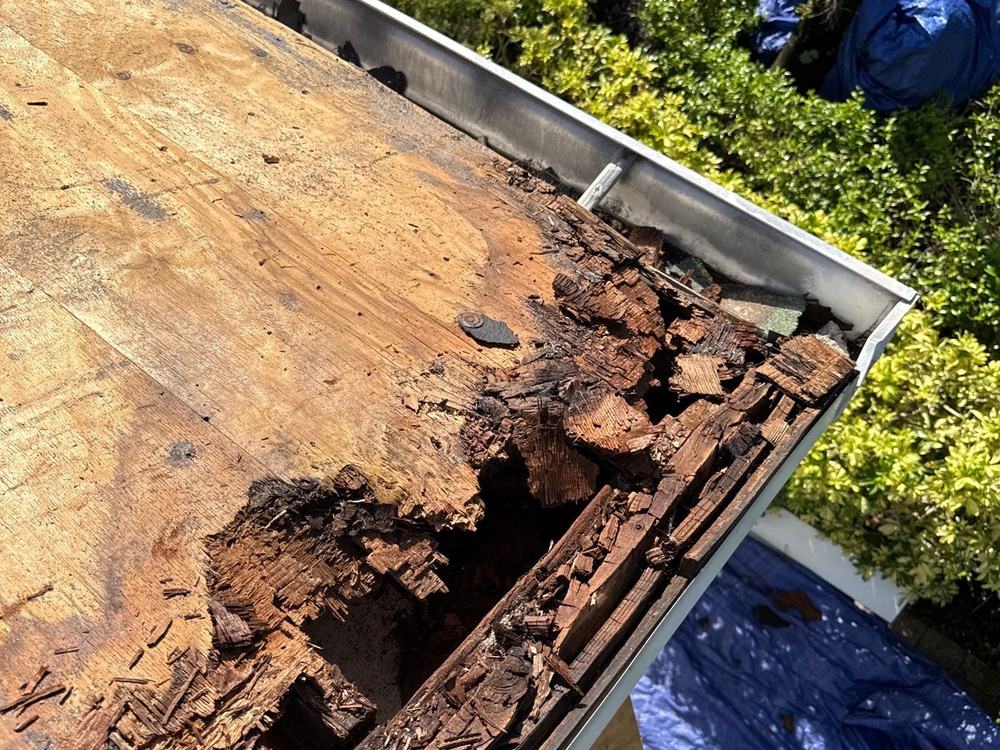 Rotted plywood decking and fascia found at tear-off