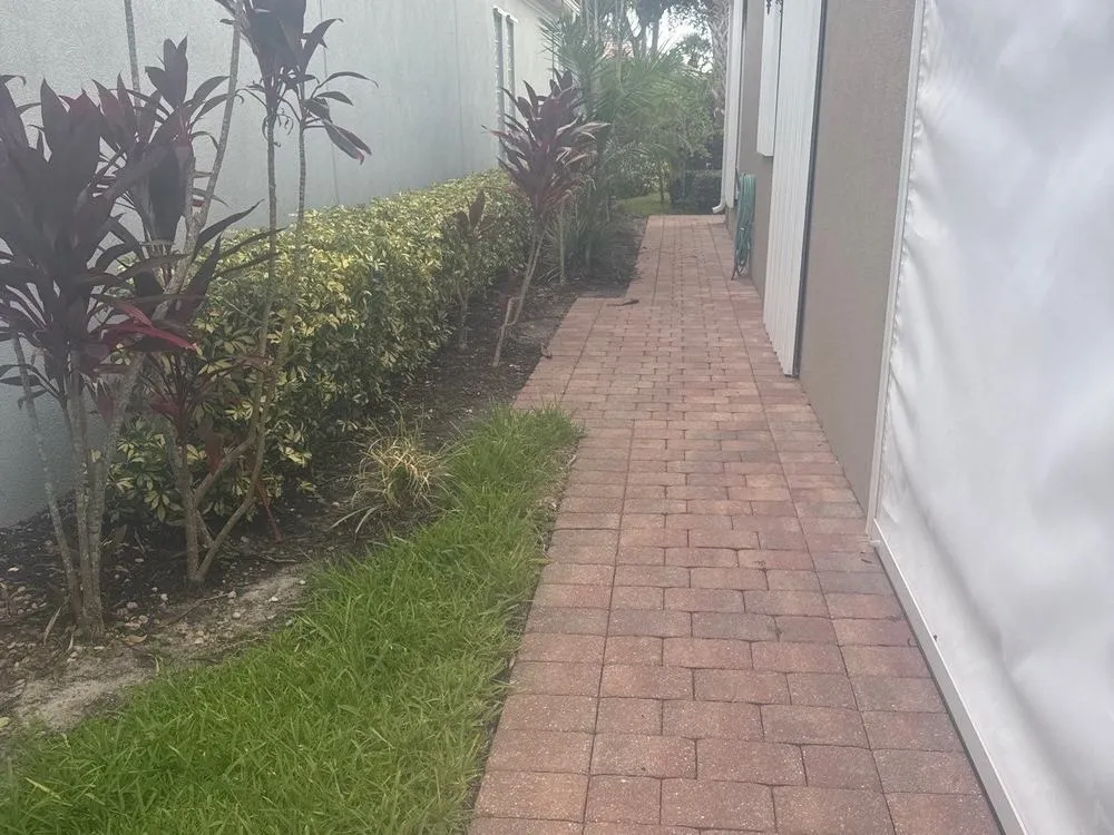 Clean side yard and walkway after the roof replacement