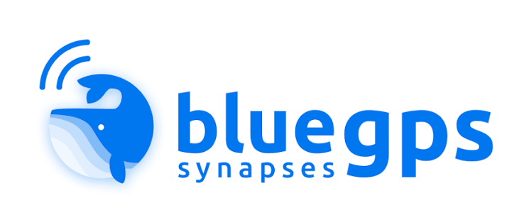 Synapses