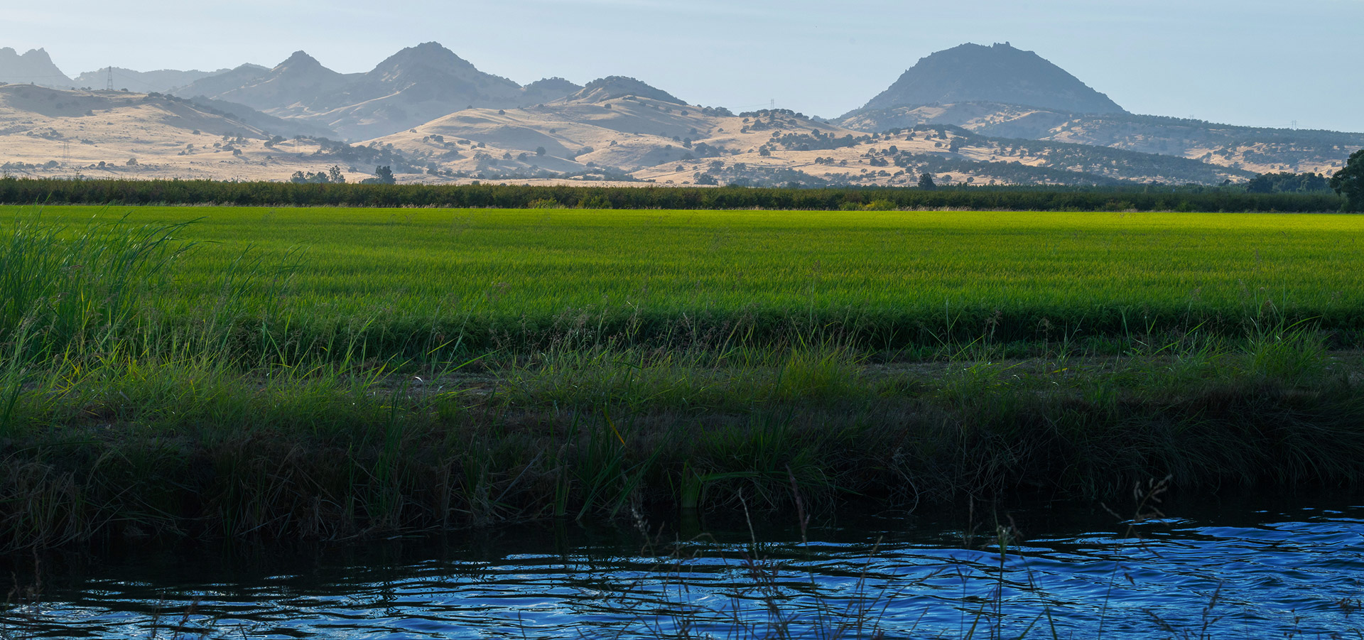 Lush green field with a water canal in the foreground and dry, hilly mountains under a clear sky in the background.