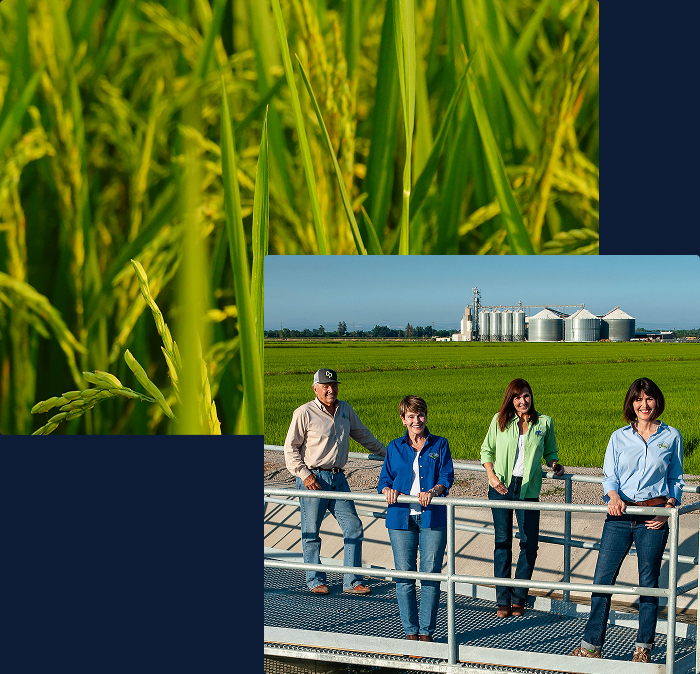 Four people standing outdoors in a field with blue sky, with one man in a blue shirt and three women in white shirts smiling at the camera.