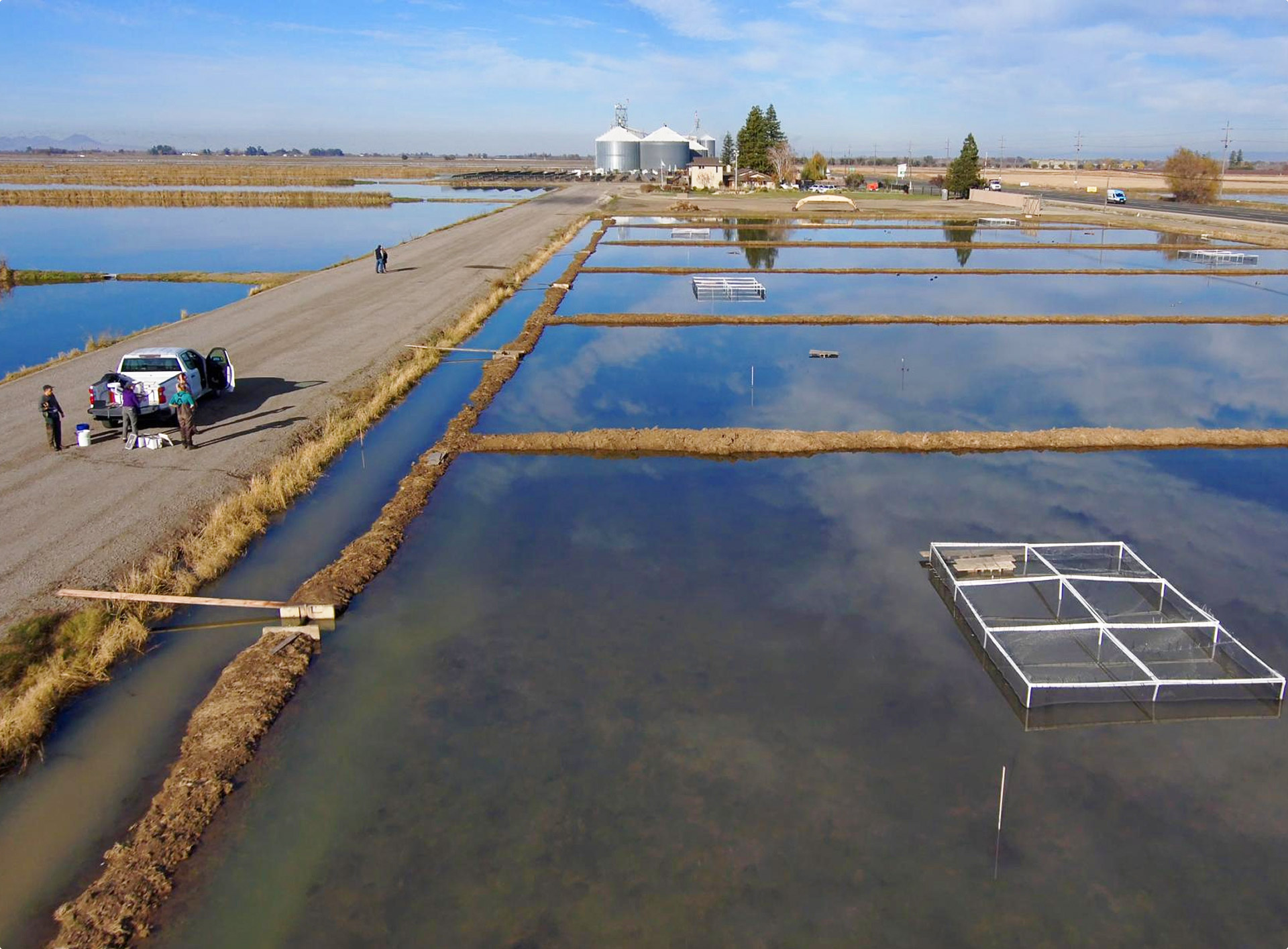 Researchers standing by a pickup truck near large, rectangular water-filled experimental ponds with mesh enclosures, under a blue sky.