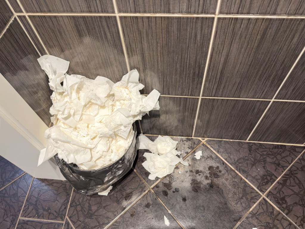 Hospitality cleaning, housekeeping, or guest experience image