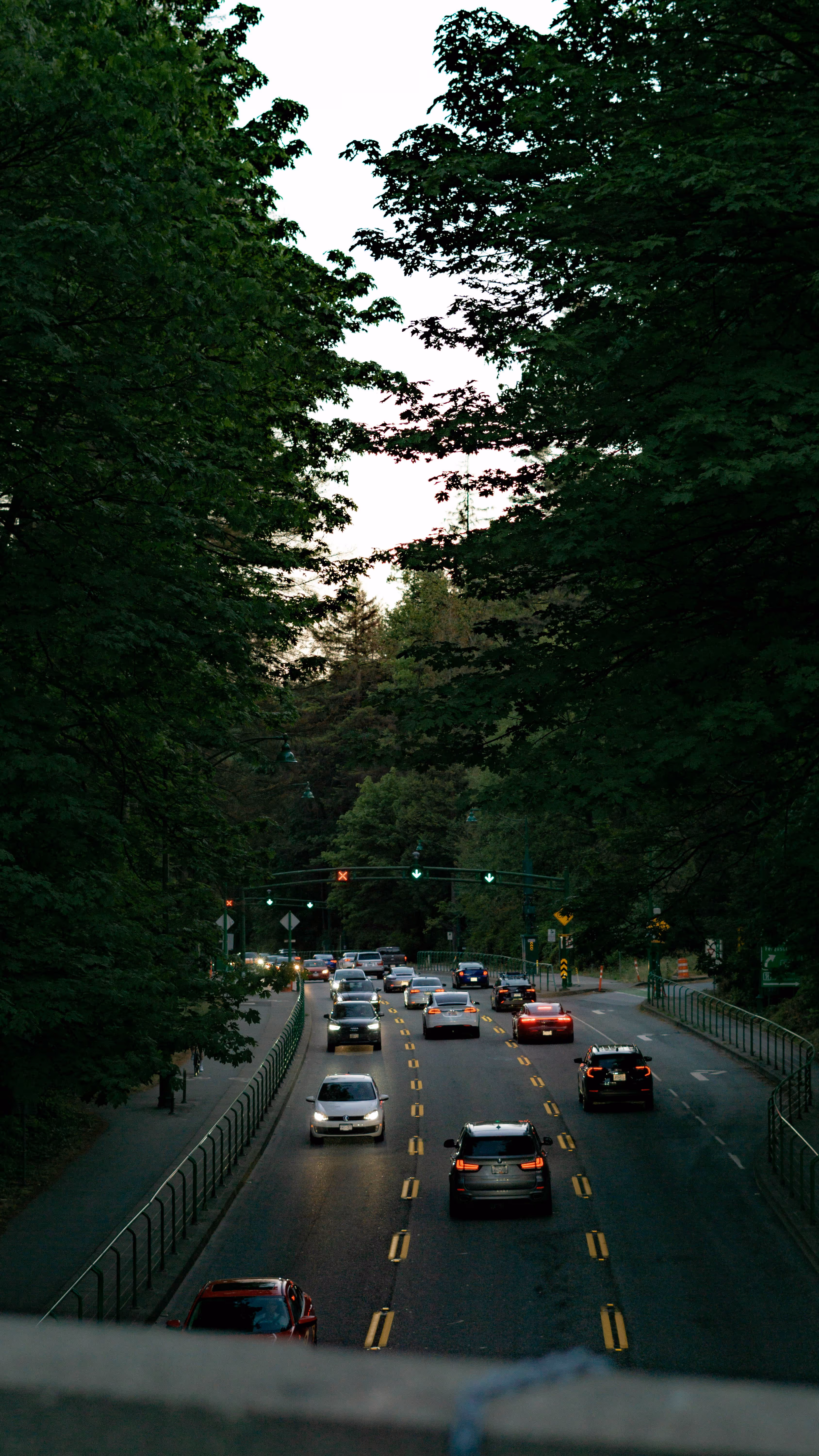 Multi-lane road with cars and traffic lights surrounded by dense trees at dusk."