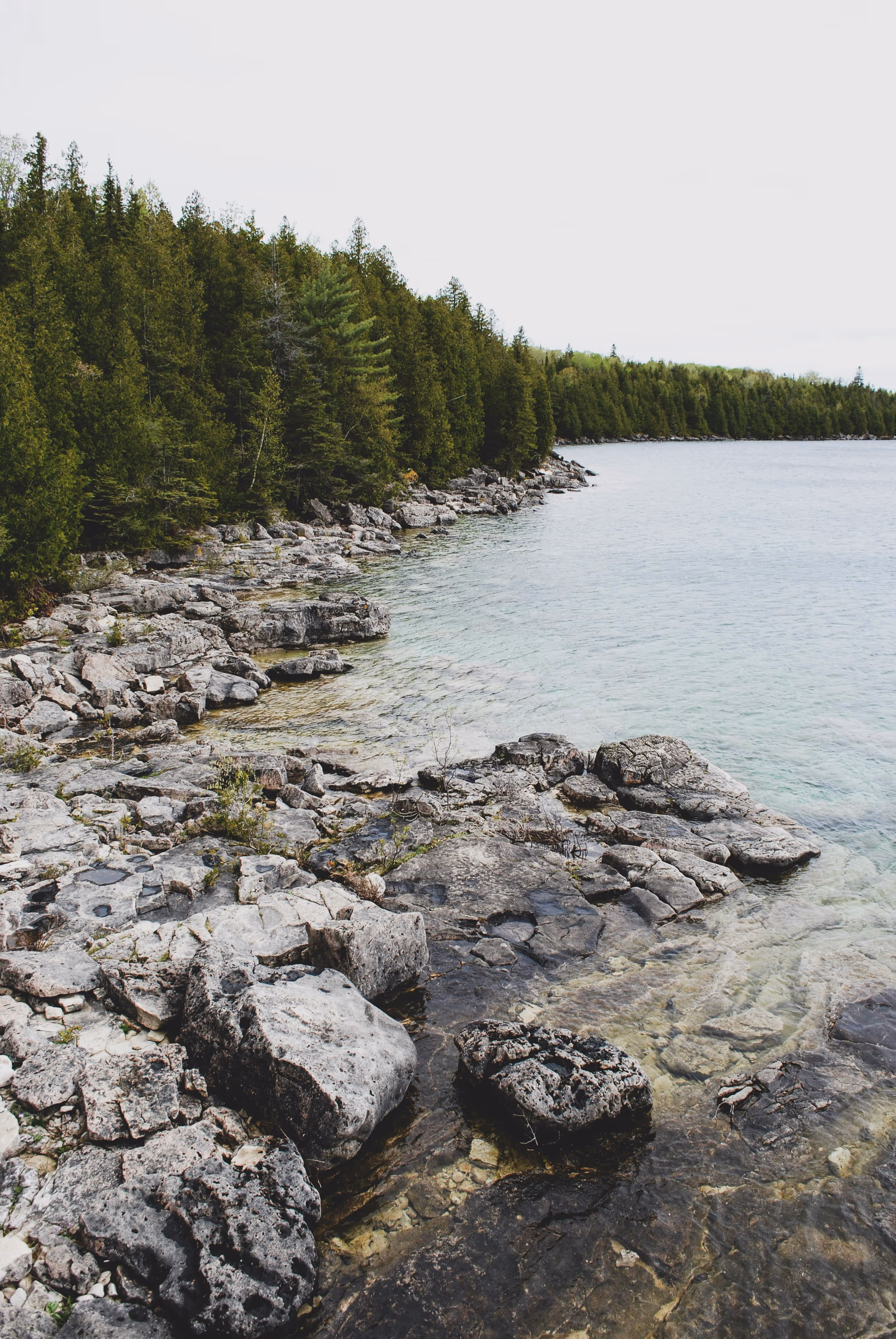 Georgian Bay’s Windswept Pines, 30,000 Islands (Ontario). Resilience with a human compass.