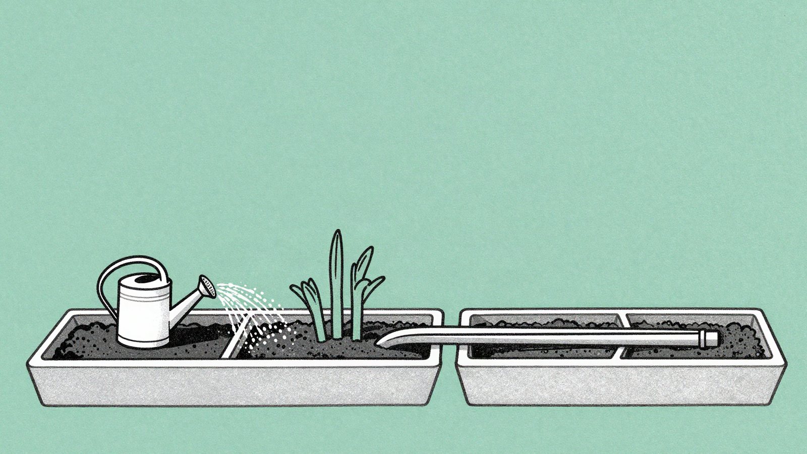 Illustration of a watering can and a pipe each watering the same garden bed, in a single sea green colour with grey shading