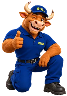 Bull Transporte Mascota