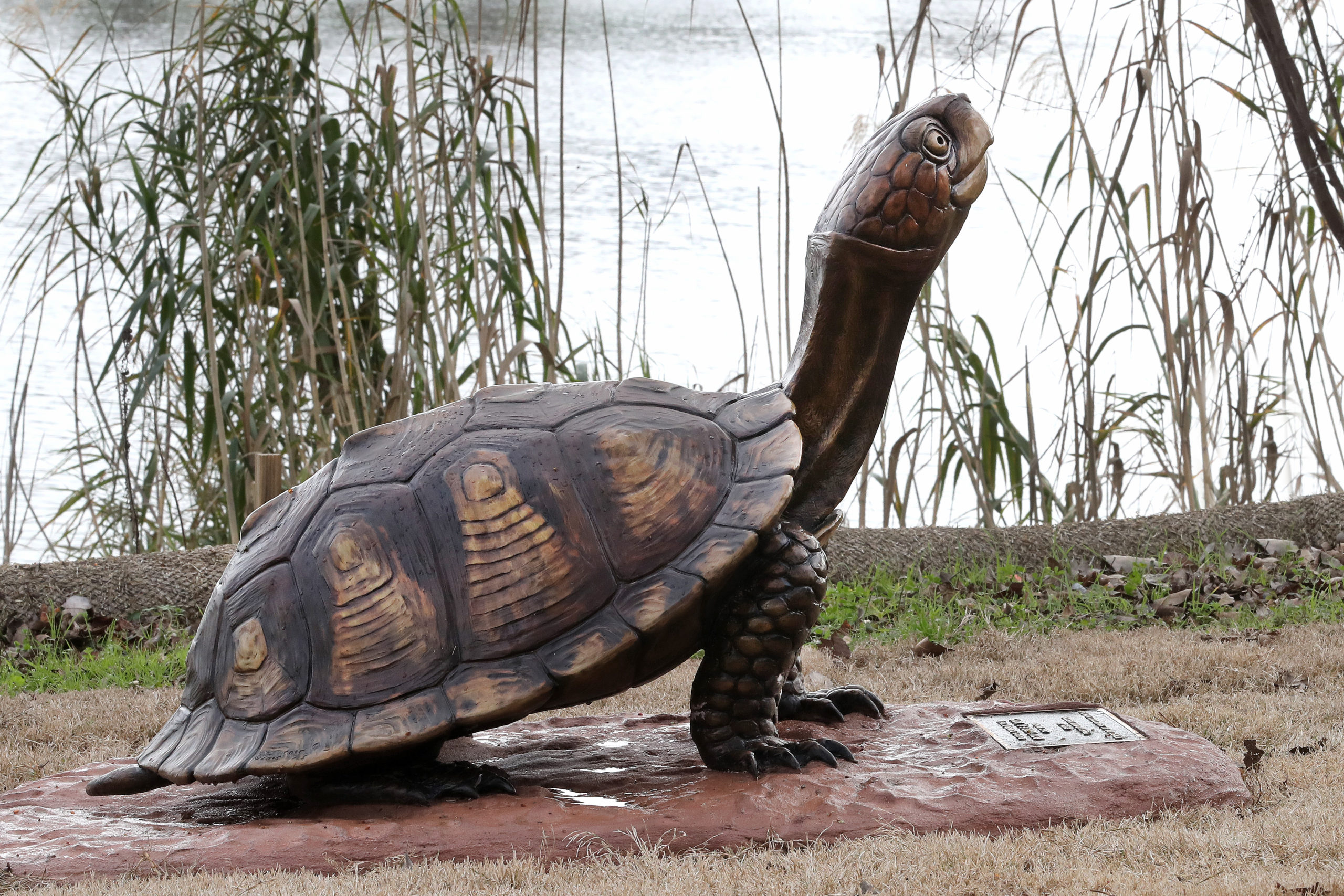 Box Turtle II — public sculpture on the Waco Sculpture Zoo trail