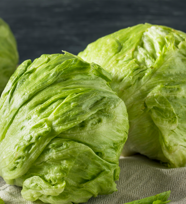 Zwei Köpfe knackiger Eisbergsalat auf einer grauen Oberfläche vor dunklem Hintergrund.