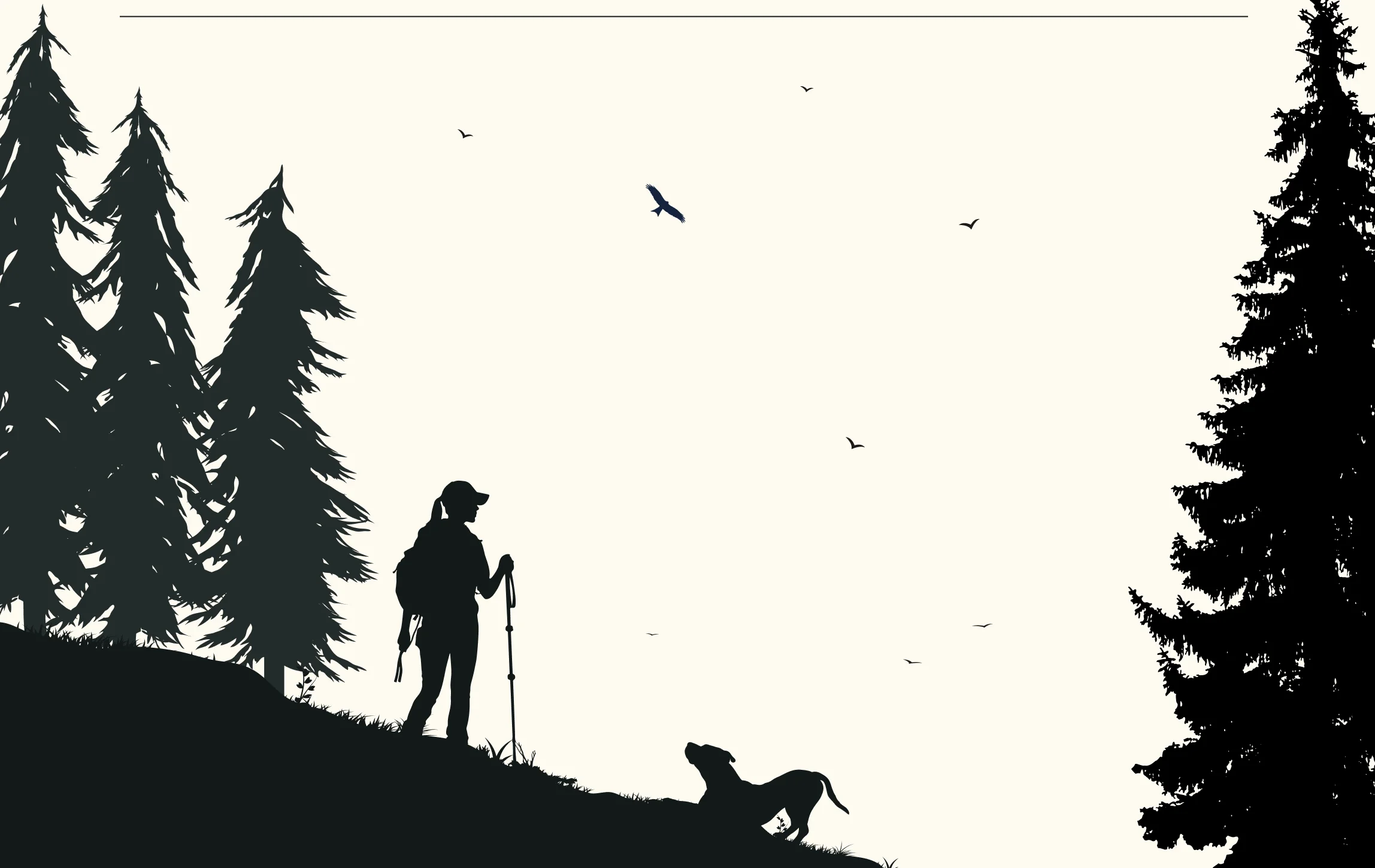 Silhouette of a hiker and dog on a forested slope
