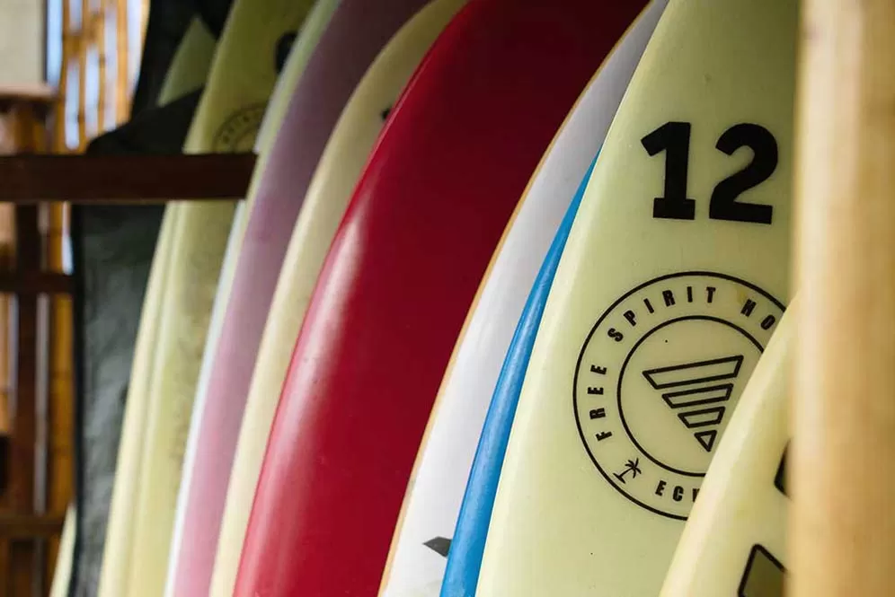 Close-up of colorful surfboards stored upright with visible numbers and logos.