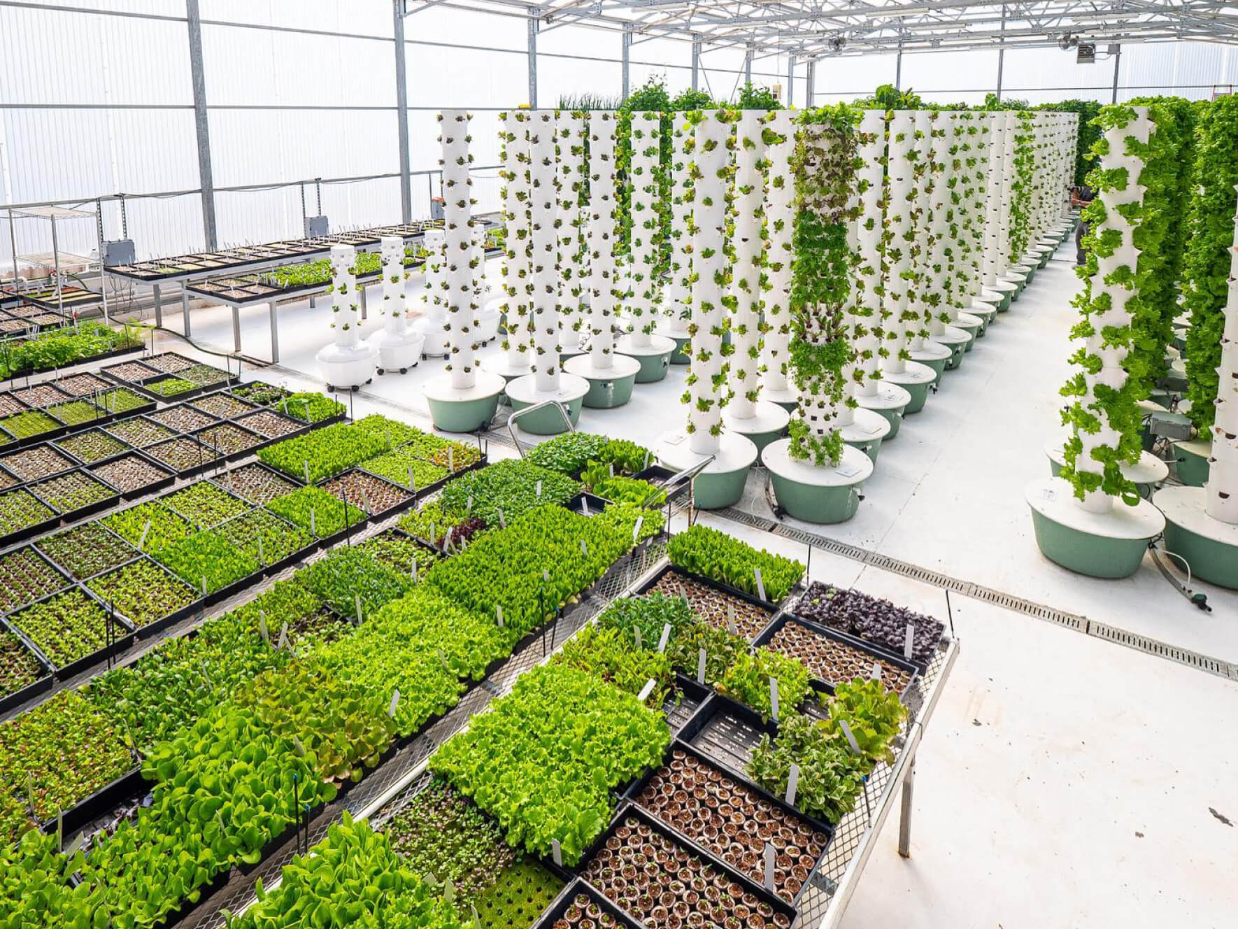 Agrotonomy Tower Farm and produce.