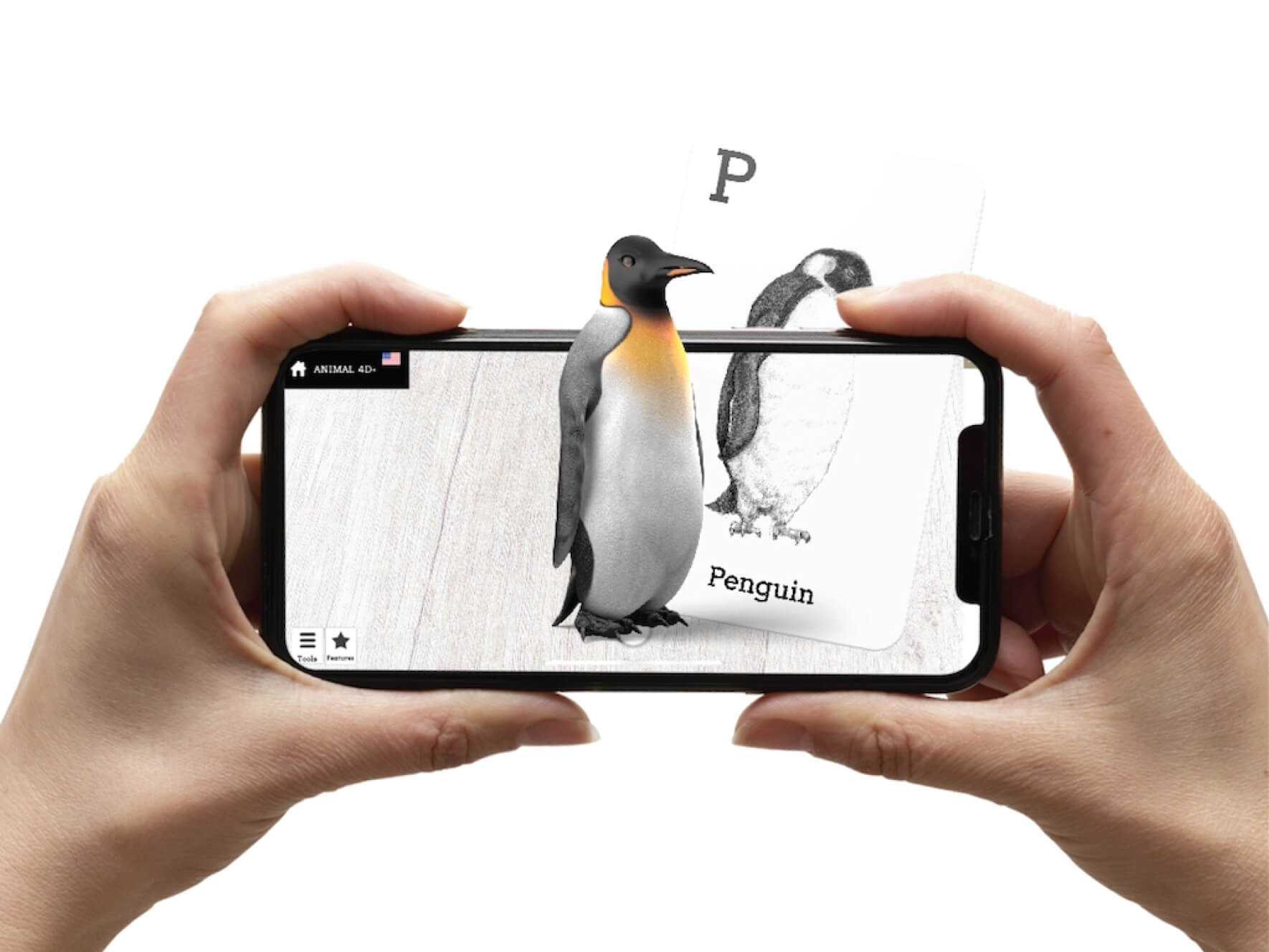 Phone pointed at flash cards with 4D augmented reality Penguin in the foreground.