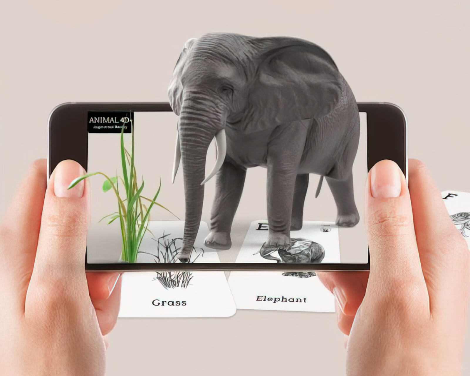 Phone pointed at flash cards with 4D augmented reality Elephant in the foreground.