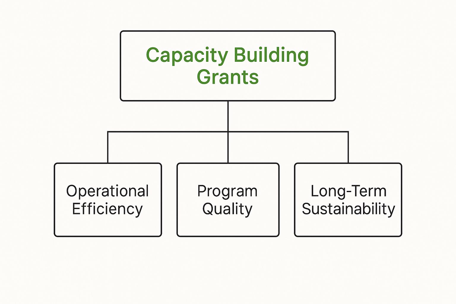 Infographic about nonprofit capacity building grants showing how they lead to operational efficiency, program quality, and long-term sustainability.