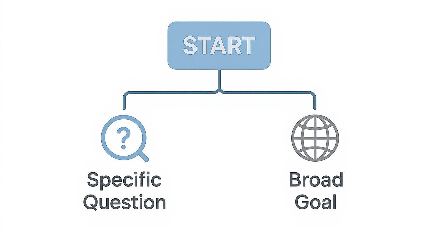 Infographic decision tree for selecting the scope of a needs assessment.
