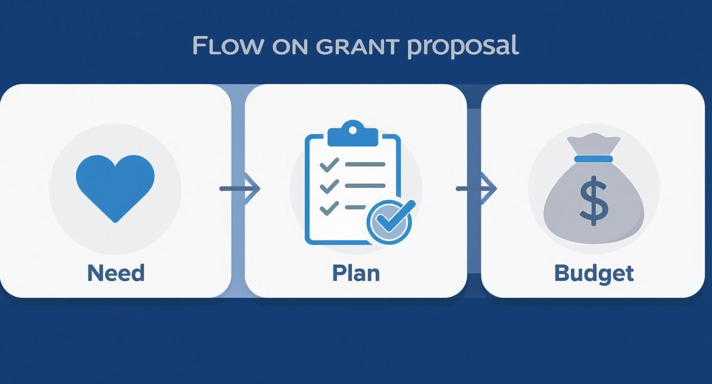 A flowchart showing the three steps of a grant proposal: Need, Plan, and Budget.