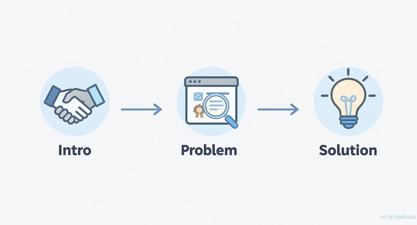 A three-step process diagram showing Intro (handshake), Problem (magnifying glass on document), and Solution (lightbulb).