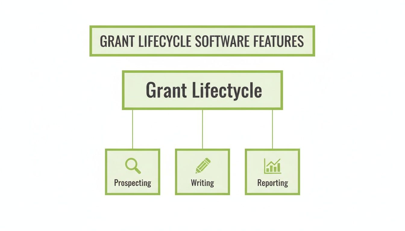 A diagram illustrating grant lifecycle software features, including prospecting, writing, and reporting stages.