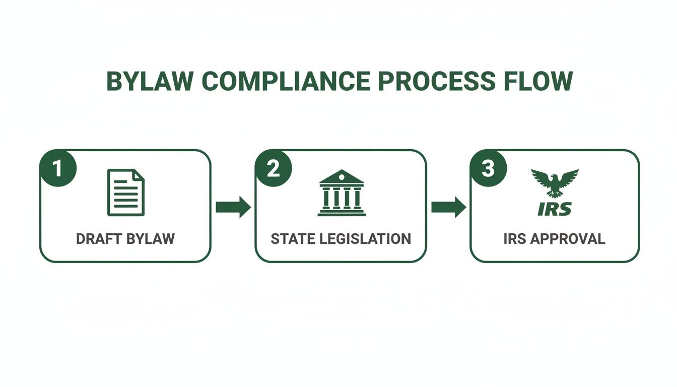 Flowchart showing the three-step bylaw compliance process: draft bylaw, state legislation, and IRS approval.