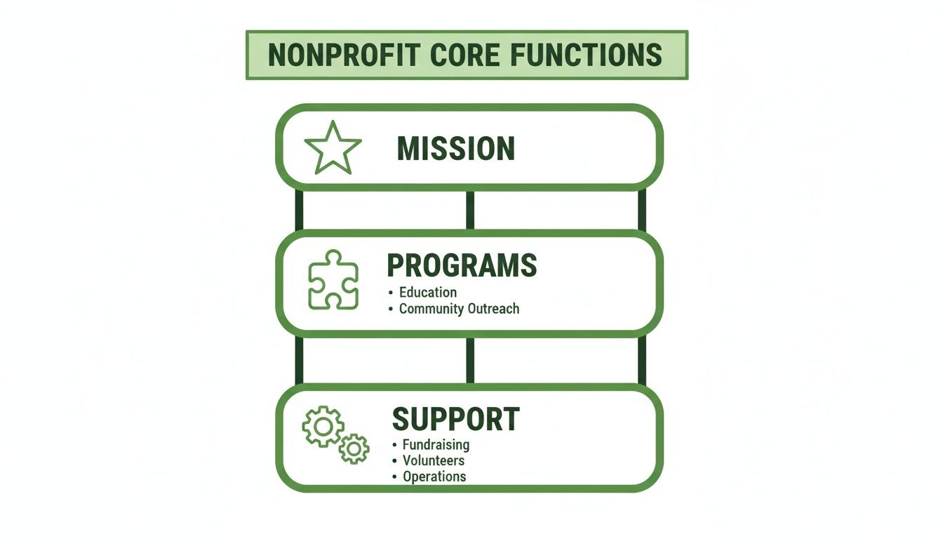 An organizational chart illustrating nonprofit core functions: mission, programs (education, outreach), and support (fundraising, volunteers, operations).