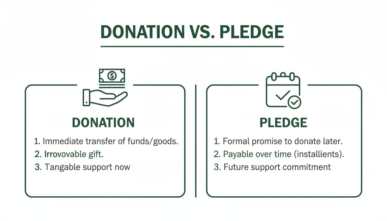 Infographic comparing donation and pledge definitions with their key characteristics and icons.
