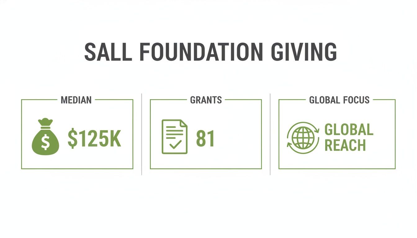 Sall Foundation Giving statistics showing median $125K, 81 grants awarded, and global reach.