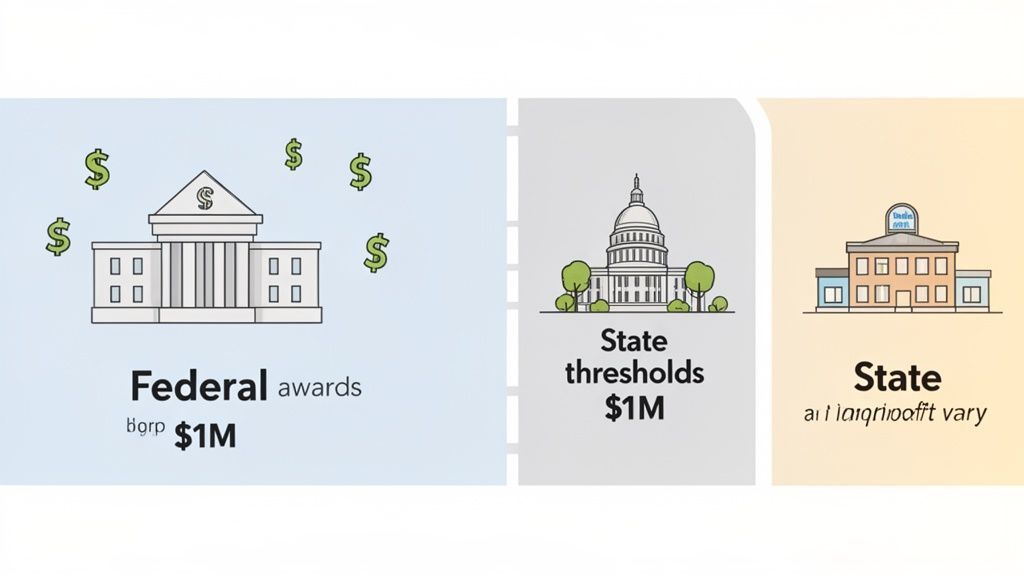 An infographic shows federal awards at $1M, state thresholds at $1M, and varying state audit requirements.