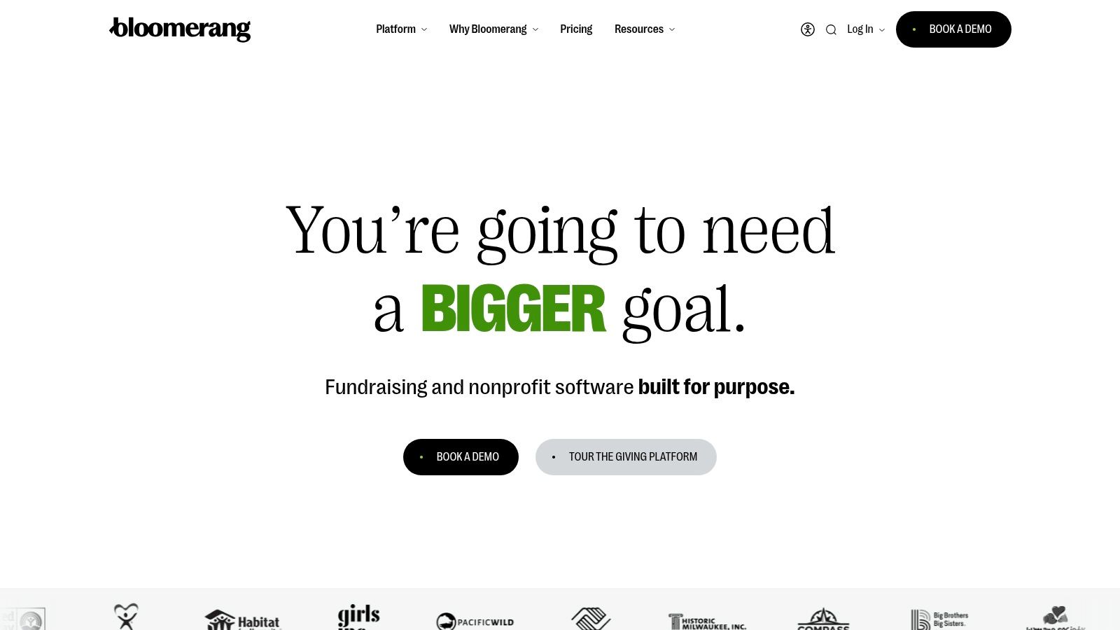 Bloomerang (Giving Platform + CRM)