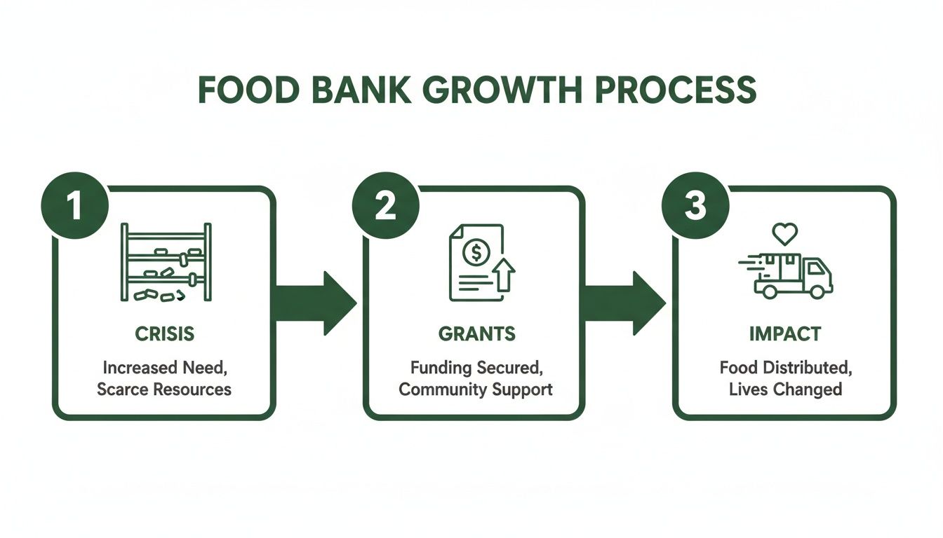 Infographic showing food bank growth process from crisis to impact, enabled by grants.