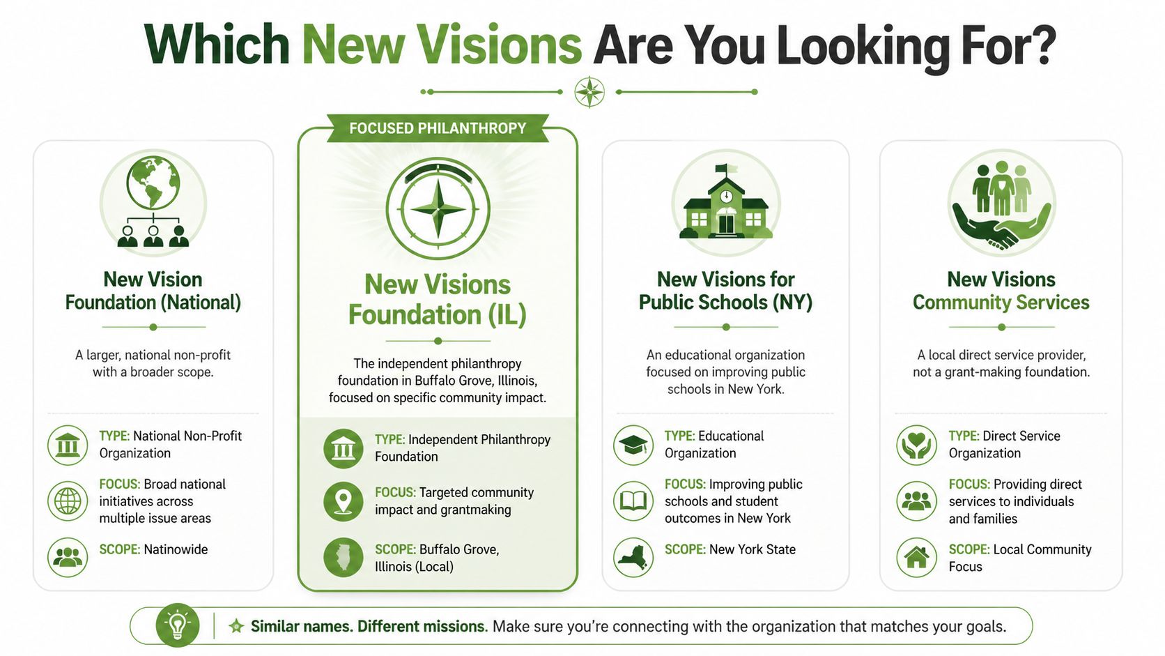 An infographic showing the differences between four distinct organizations with similar names, New Visions.
