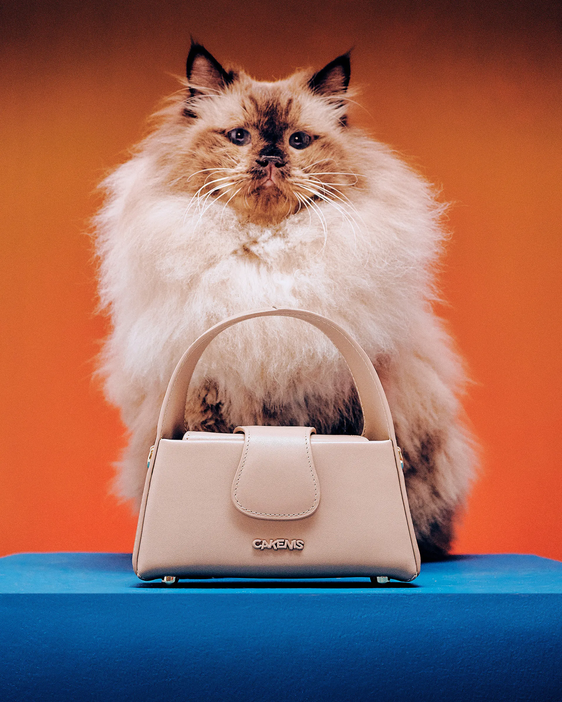 The Muse Bag by Cakenis