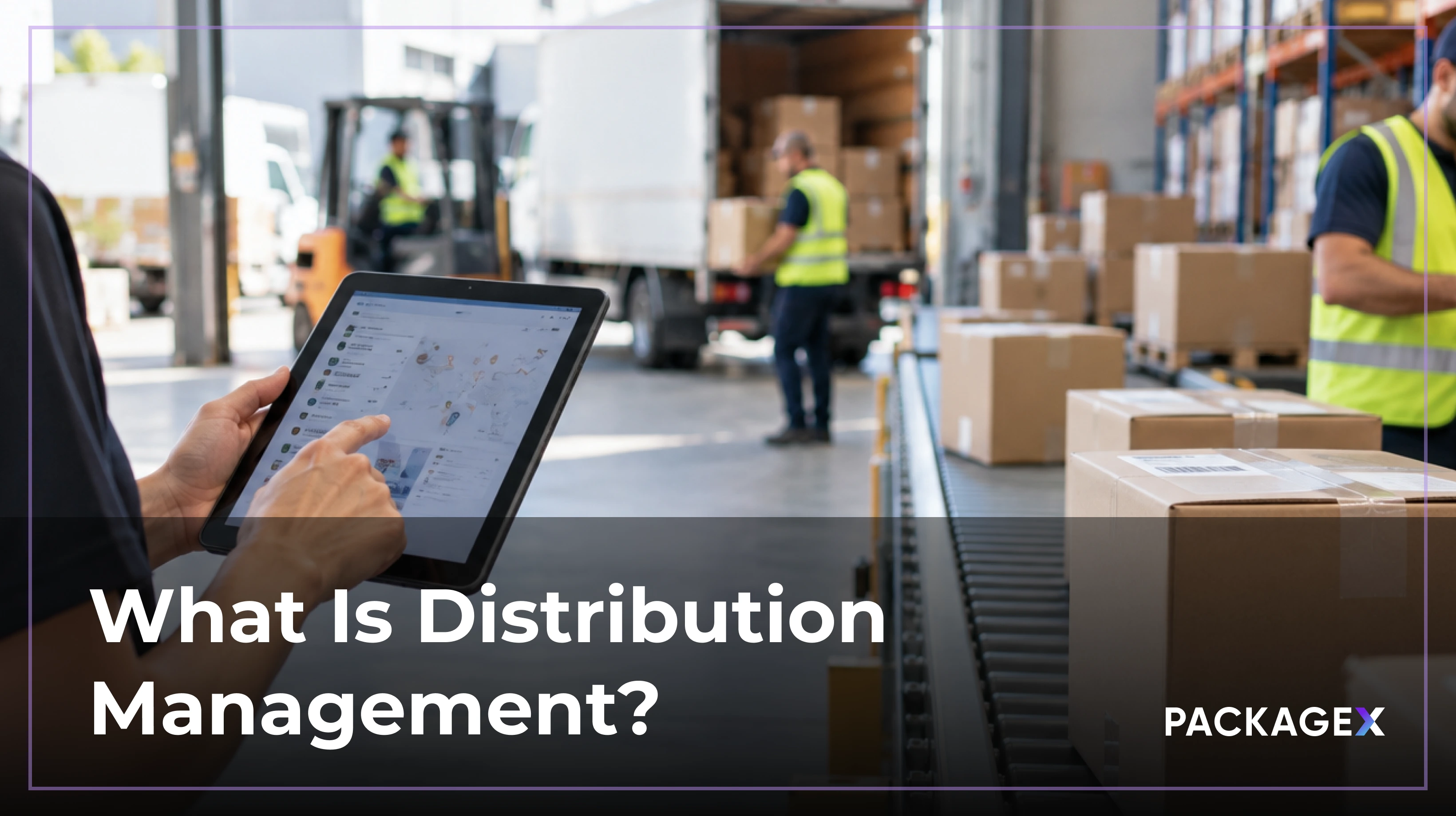 distribution management