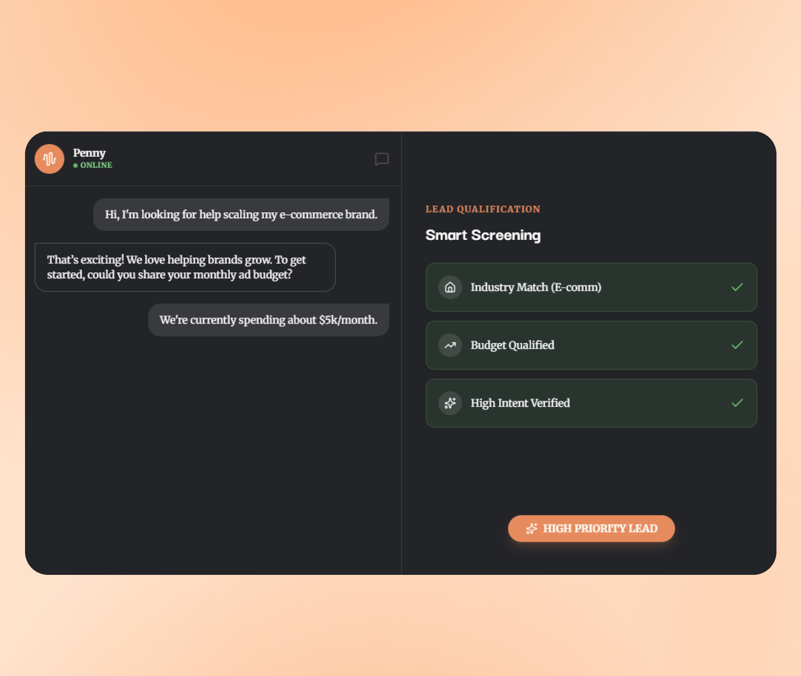 Project Penny conversational AI interface showing natural lead qualification dialogue with a potential client
